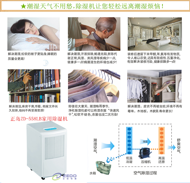 別墅防潮除濕機(jī)