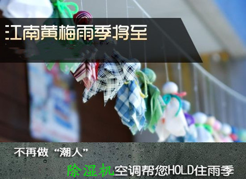 除潮防霉用除濕機(jī)
