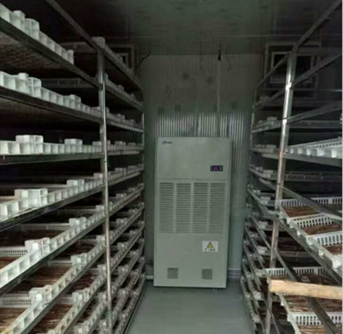 葡萄干烘干除濕機
