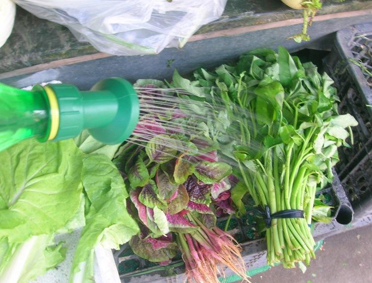 蔬菜加濕器