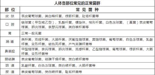 人體全身噴霧消毒機.png