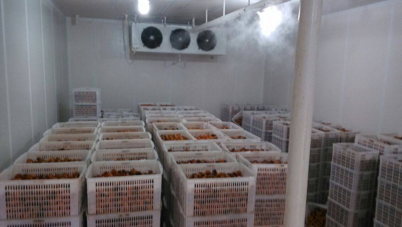 冷庫保鮮加濕機(jī).jpg