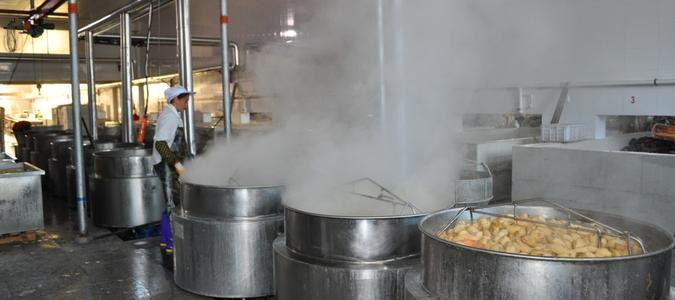 吊裝蒸汽去除機 吊裝蒸汽去除機