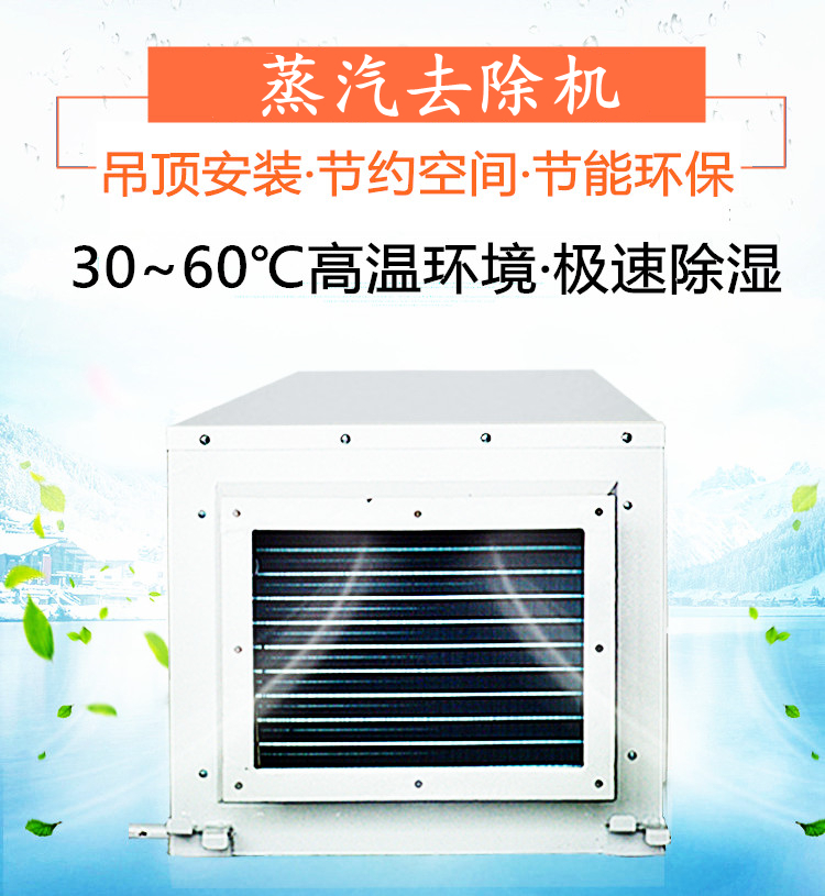 蒸汽去除機