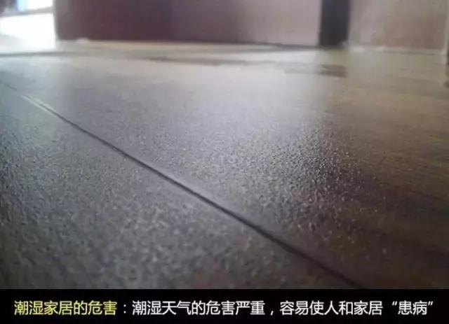 空氣除濕器.jpg