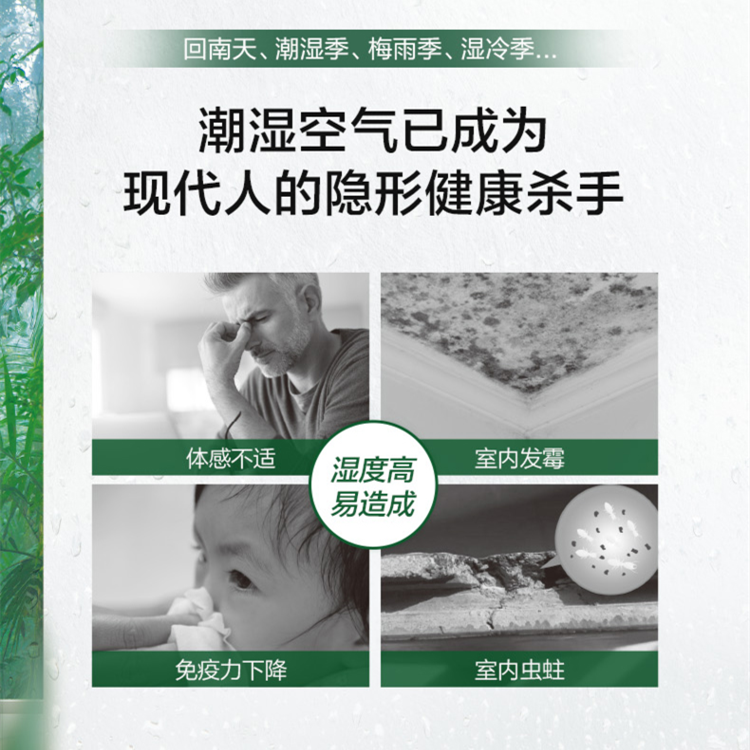除濕新風機