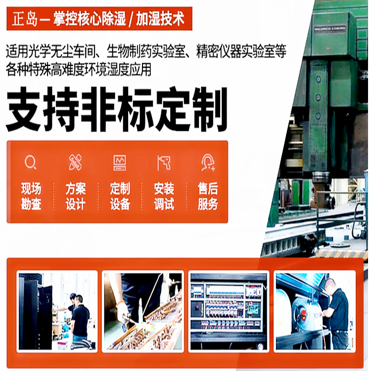 非標(biāo)定制除濕機(jī)