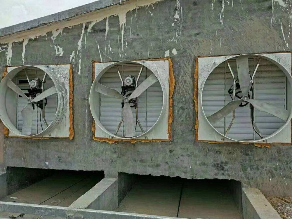 室內除霧方法