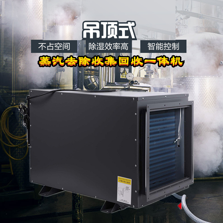 冷凝式蒸汽消除機(jī)