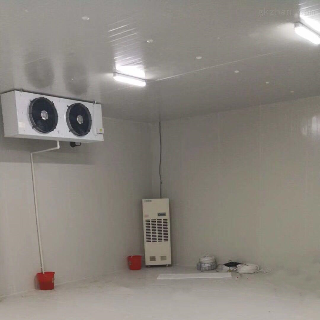 低溫冷庫除濕機